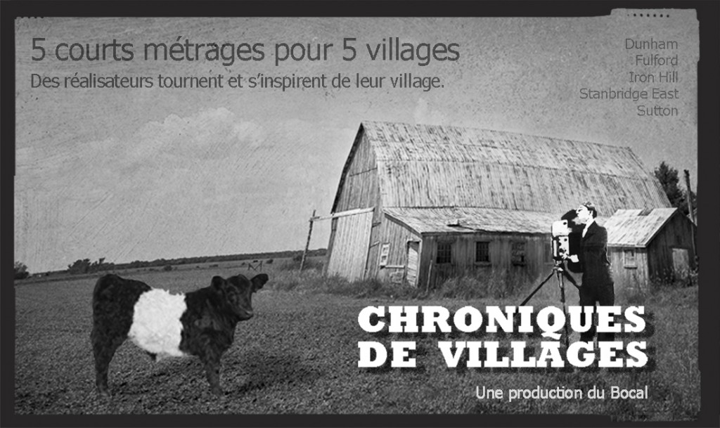 Chroniques de Villages