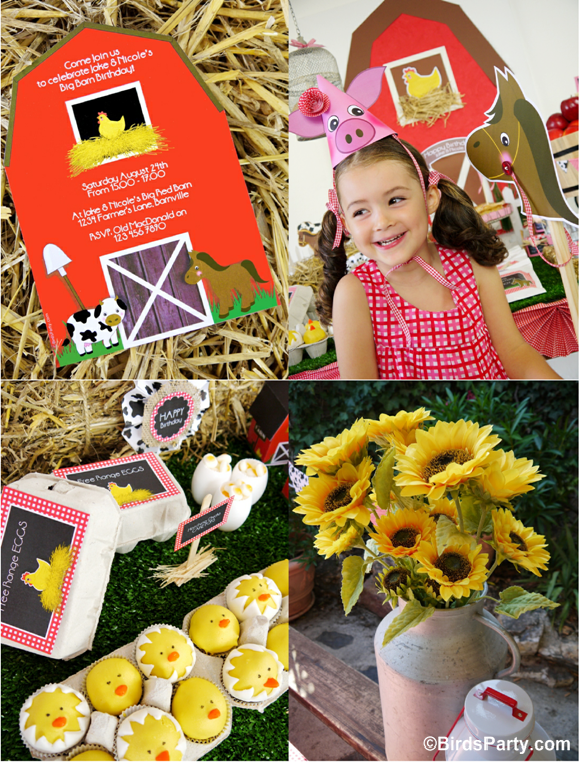 My Kids' Joint Barnyard Farm Birthday Party - Party Ideas