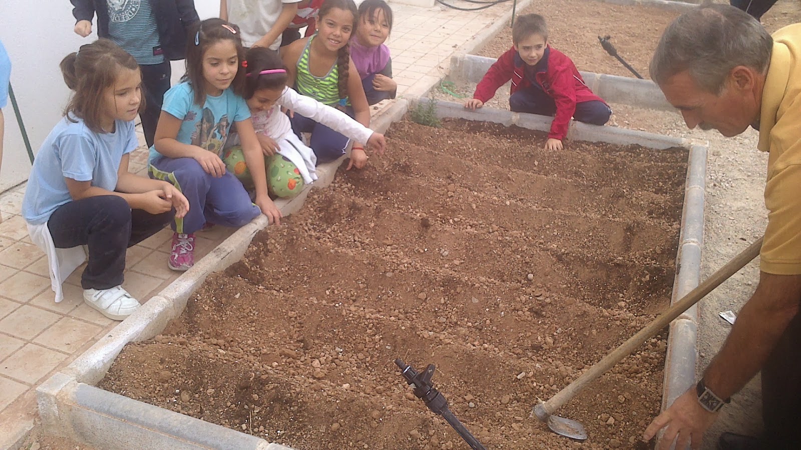 El blog de la clase de Gregorio HACEMOS SURCOS EN NUESTRO HUERTO ESCOLAR El blog de la clase de Gregorio HACEMOS SURCOS EN NUESTRO HUERTO ESCOLAR