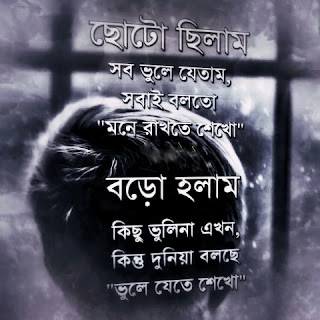 bangla quotes about dreams In Bangla and English