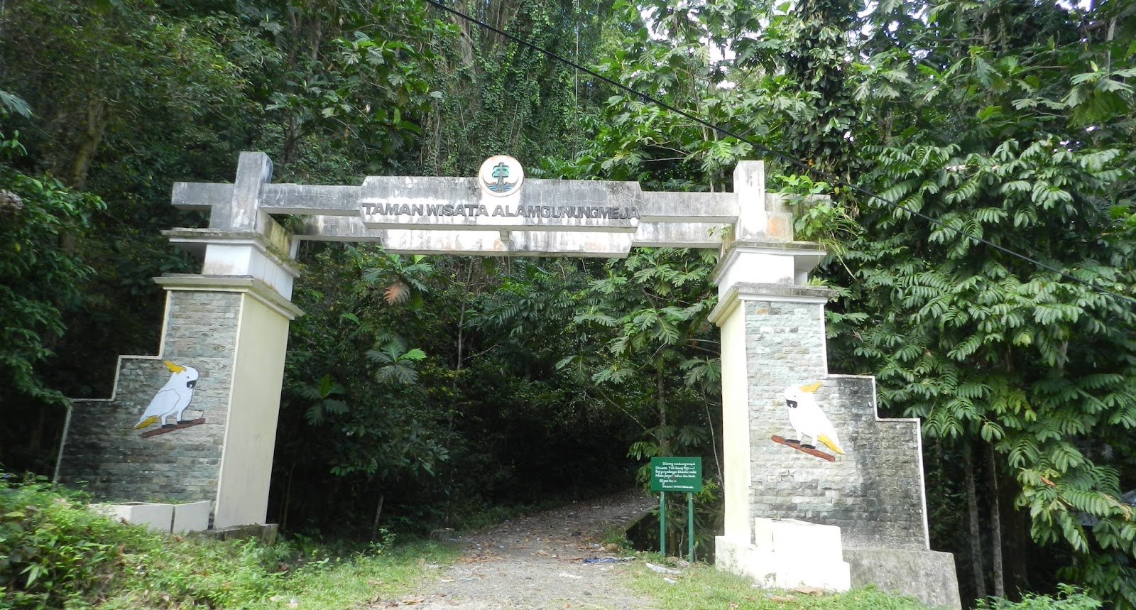 Gunung Meja - The Forgotten Forests Park in the City Manokwari ~ Tapal