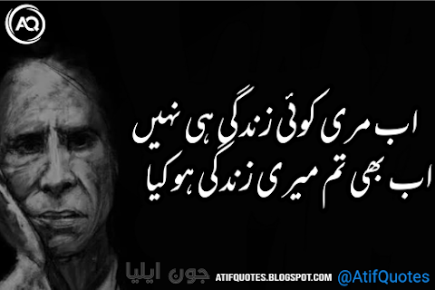 Ab Meri Koe Zindagi Hi Nahe John Elia Poetry in Urdu 2 Lines