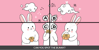 Diva quiz Answers spot the fluffy bunny