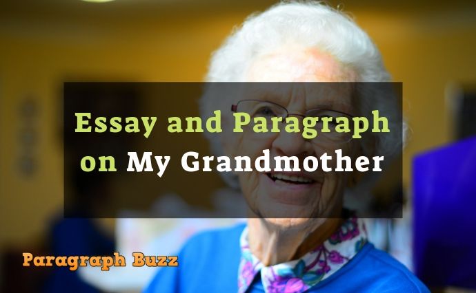my grandmother essay and paragraphs for all classes grandmother essay