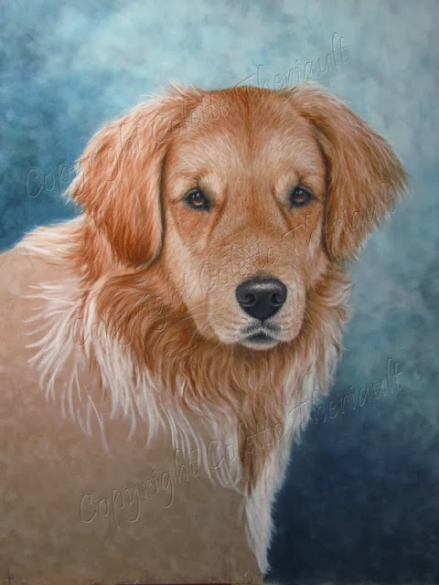 Golden Retriever Portrait painting in pastel by Canadian Pet Portrait Artist Colette Theriault