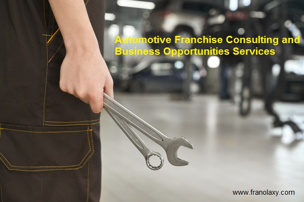 Automotive Franchise Business