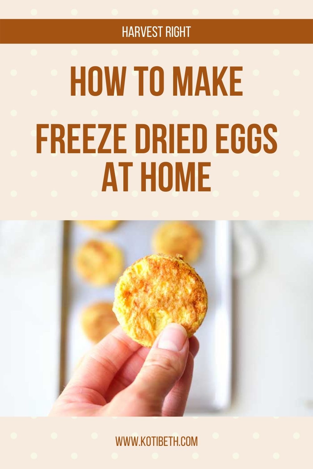 How to Freeze Dry Eggs With Harvest Right Freeze Dryer Koti Beth
