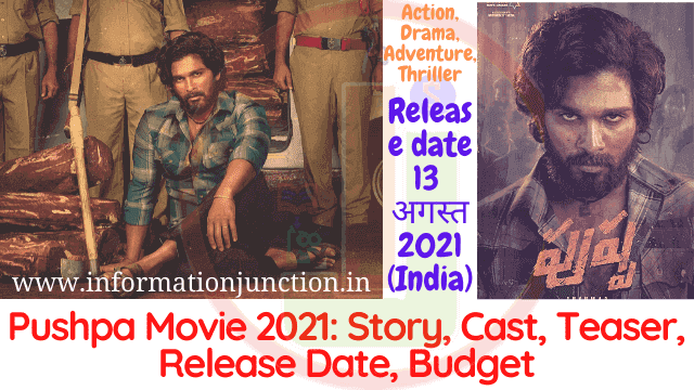 Pushpa Movie 2021: Story, Cast, Teaser, Release Date, Budget