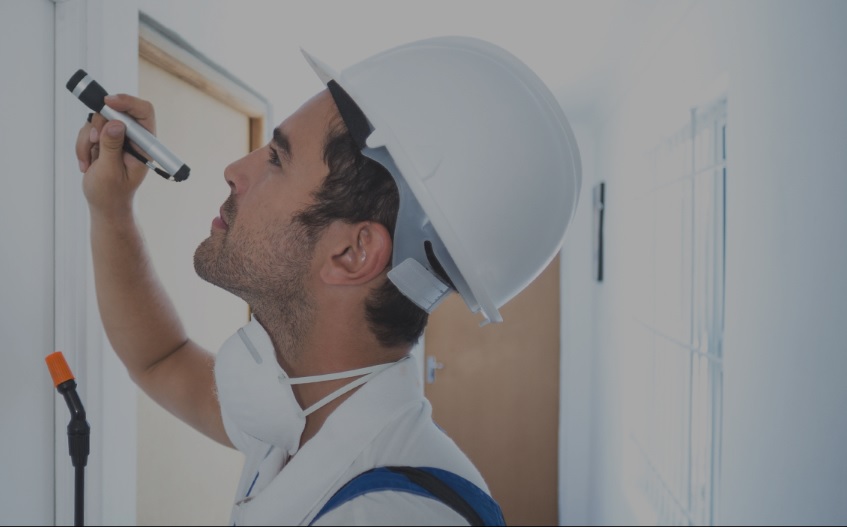 San Antonio Exterminator Safe and Affordable Pest Removal in San