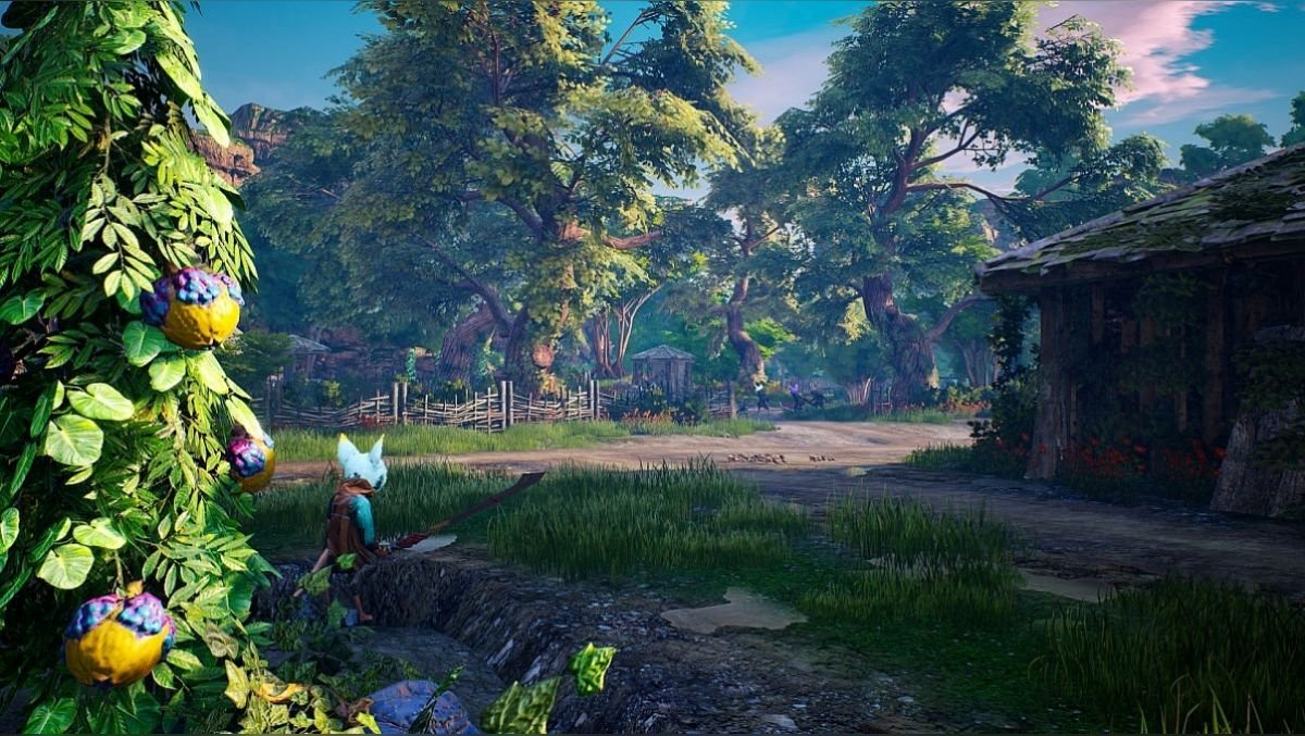 Action game about the fighting raccoon Biomutant