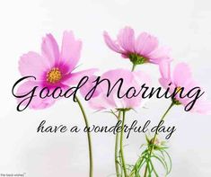 good morning flowers images