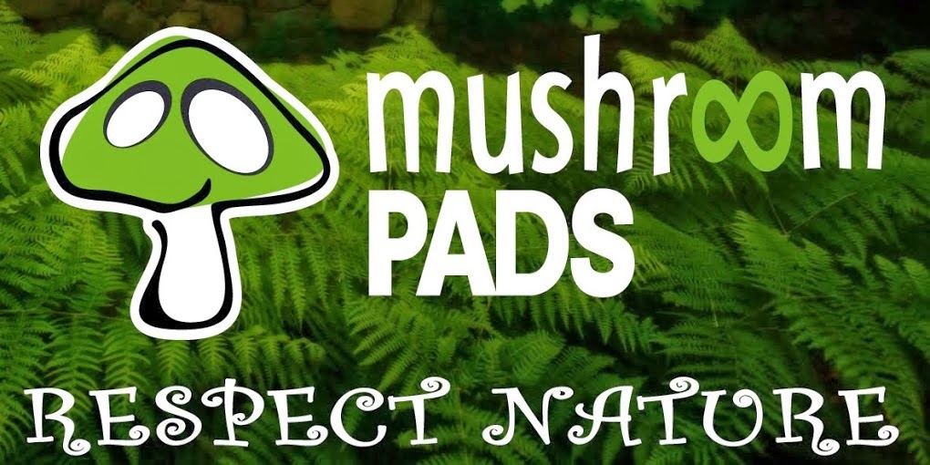 Mushroom Pads & Chalk