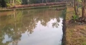 Cara Membuat Kolam Tanah agar Tidak Bocor - Tips Ikan