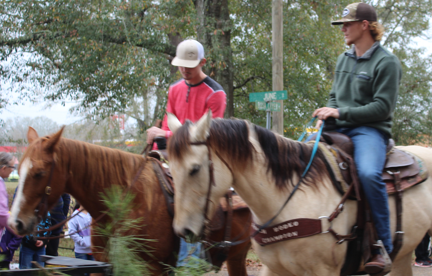 Tammany Family Folsom Horse & Wagon Christmas Parade