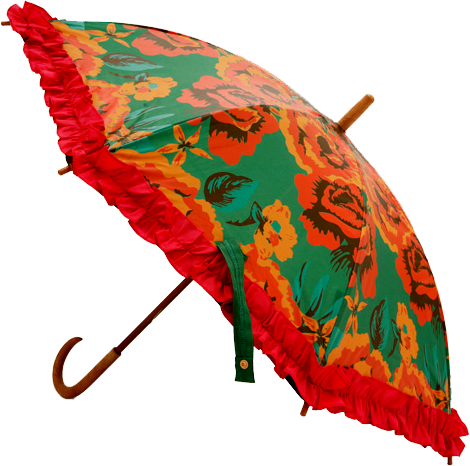 Guarda Chuva png