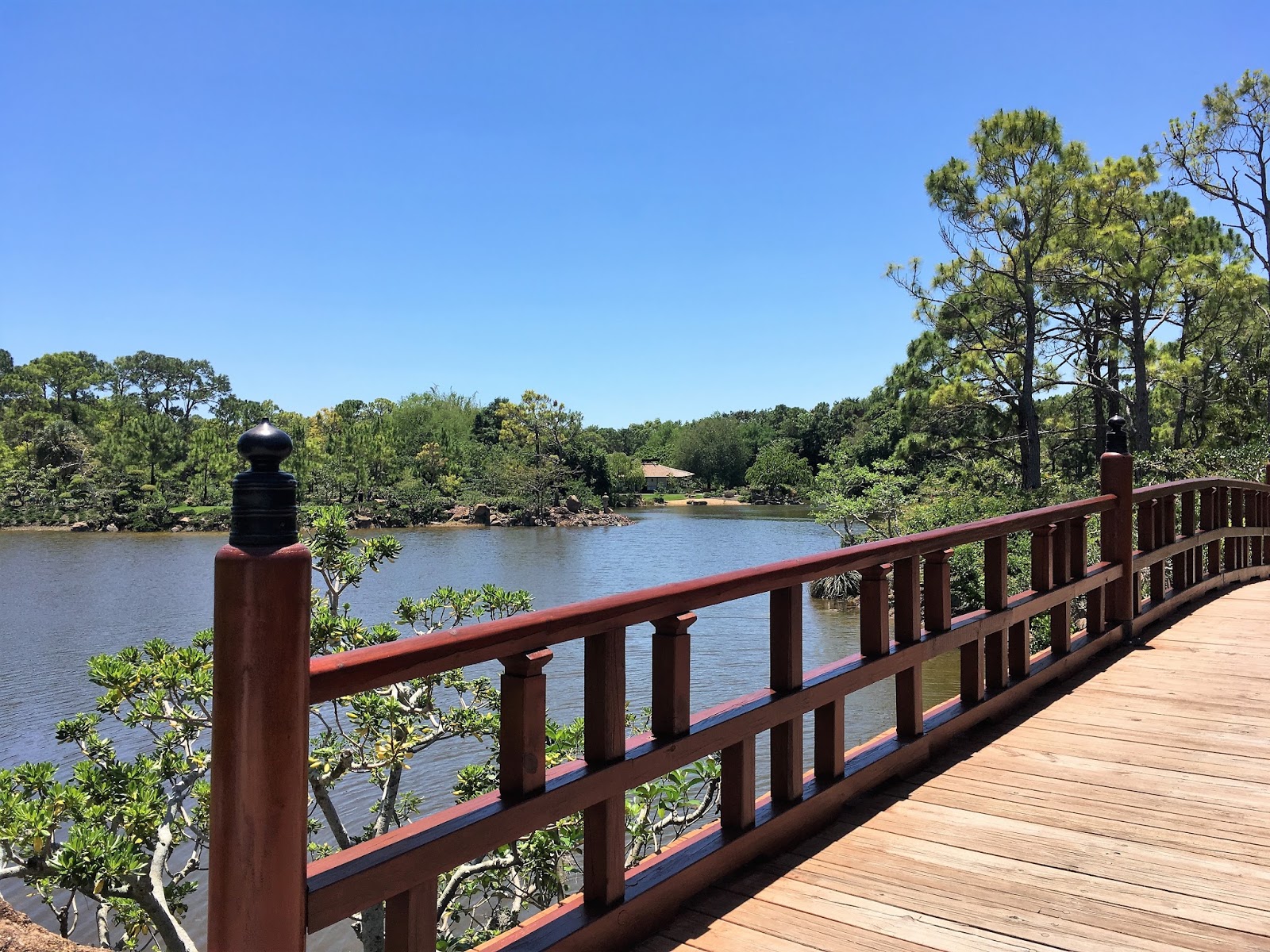 Meet Me in the Gift Shop Morikami Museum and Japanese Gardens