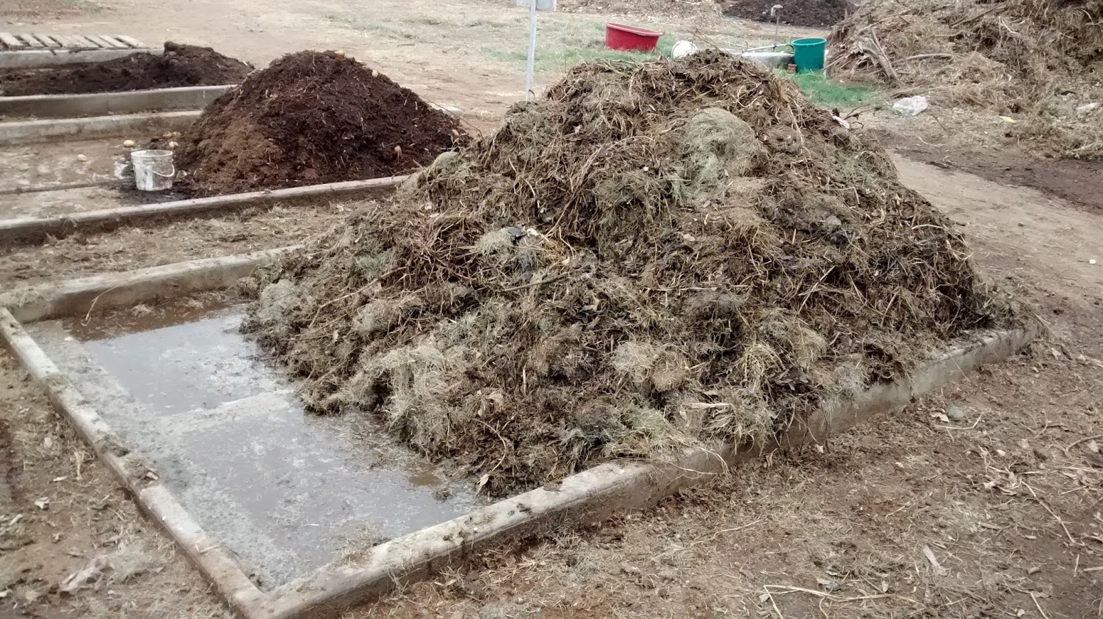 Windrow composting - Treating Organics