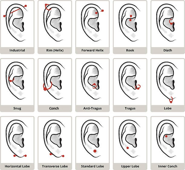 ear piercing options