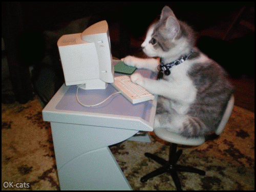 Art Cat GIF • “On the internet nobody knows I'm a kitty, hehe.” Art Cat GIF • “On the internet nobody knows I'm a kitty, hehe.”