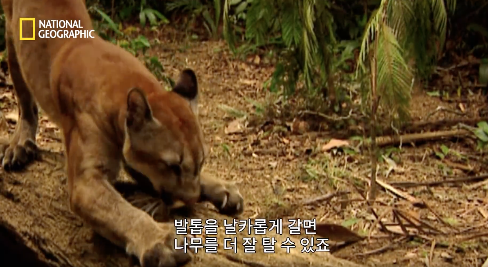 %25E1%2584%2589%25E1%2585%25B3%25E1%2584