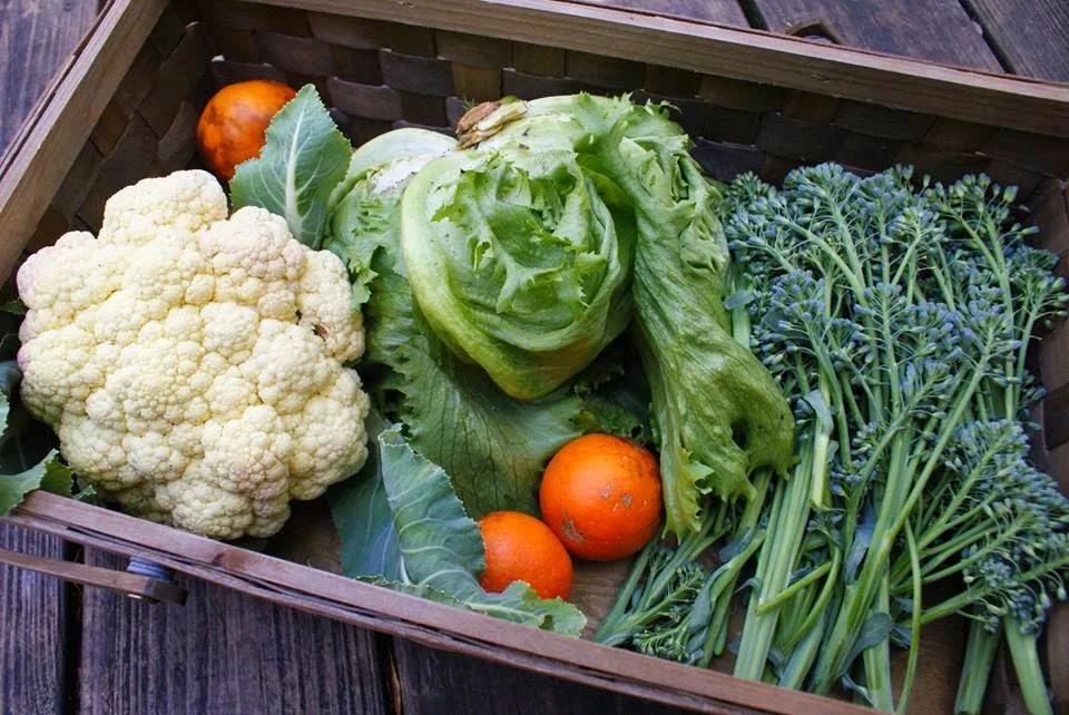 A basket of fruits and vegetables harvested in the winter.