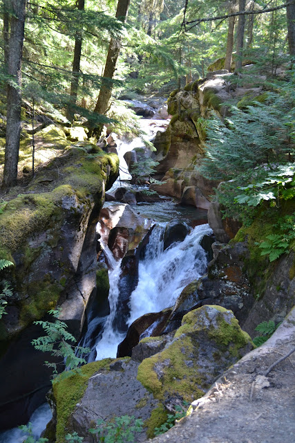 Національний Парк Глейшир: струмок Аваланч (Avalanche creek, Glacier National Park, MT)