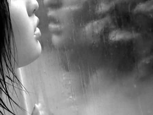 aceptacion-recuerdo-mascota-gato