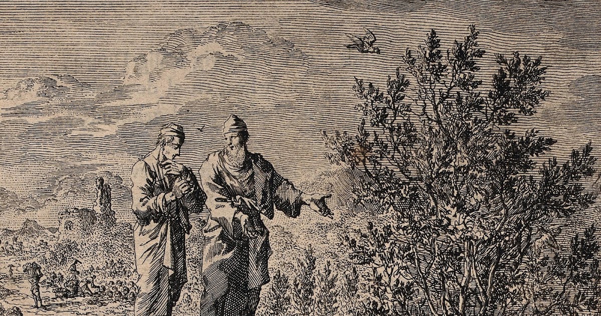 Притча о горчичном зерне. Притча о сеятеле гравюра. притча о горчичном зерне иисус христос. притчах о горчичном зерне и закваске.. библейская притча о горчичном зерне.
