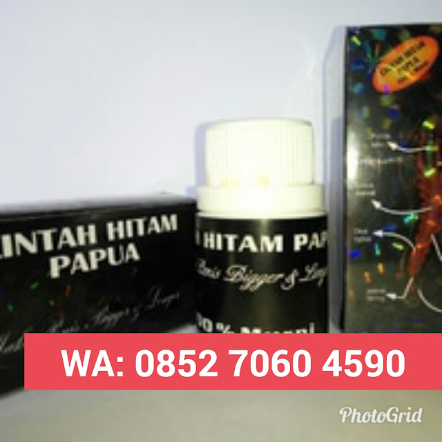 Minyak Lintah Asli Papua Medan