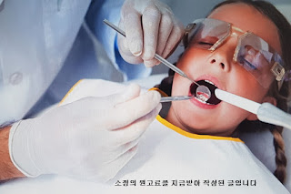라이나치아 보험 해약 환불 금 부분을 검토한 후 치아 보험 선물을 받고 치아 보철 치료 시 확실히 보장받도록 하자.
