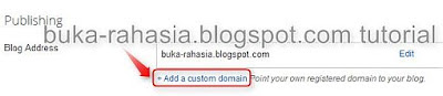 add custom domain