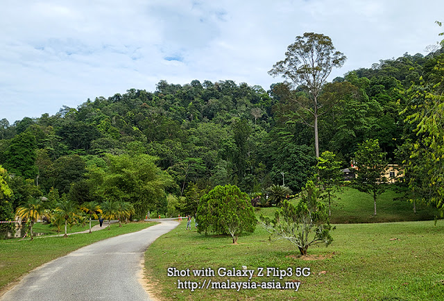 Jardins botaniques FRIM de Kepong