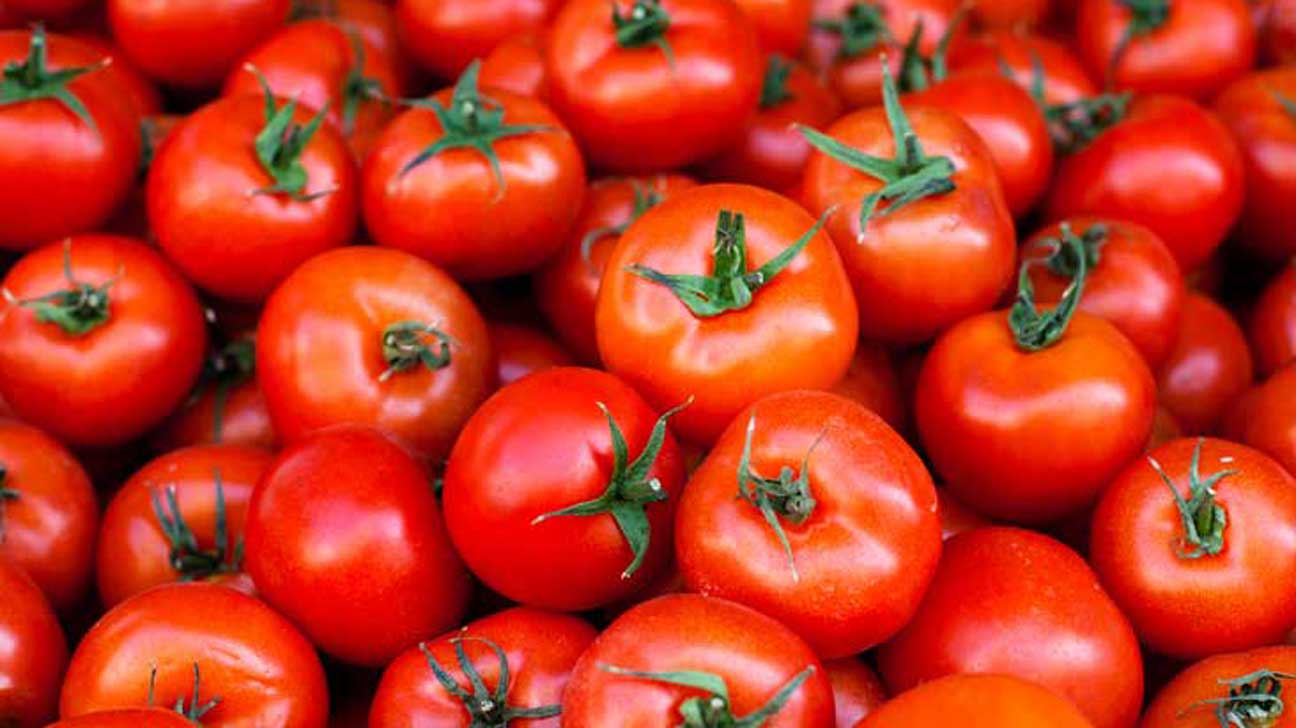 Shortage of Tomatoes shootup price in Kumasi