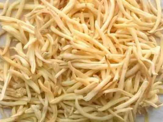 सफेद मूसली इन 3 बीमारियों का नाश करता है, जरूरी जानकारी एक बार अवश्य पढ़ें