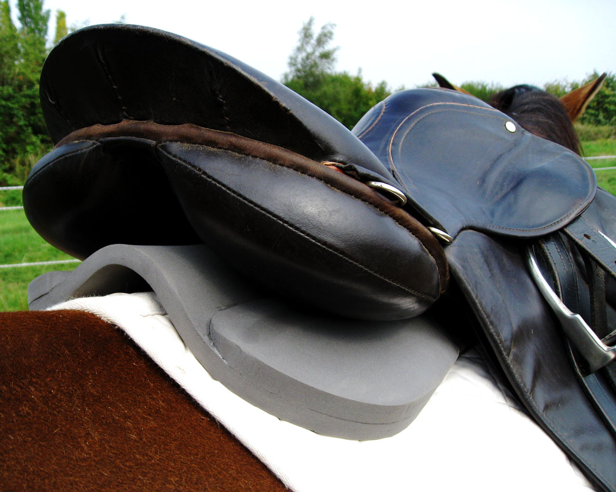 My Equestrian World Wintec Rear Riser Saddle Pad Review