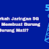 Apa Itu 5G? Apakah 5G Berbahaya? 5G Dapat Menyebabkan Burung Mati? Kapan 5G Rilis Di Indonesia? Yuk Simak Ulasannya!