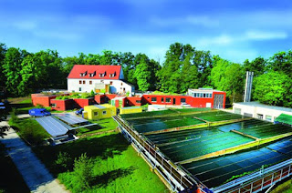 Centrum Algatech v Třeboni, kde se Chlorella SP pěstuje