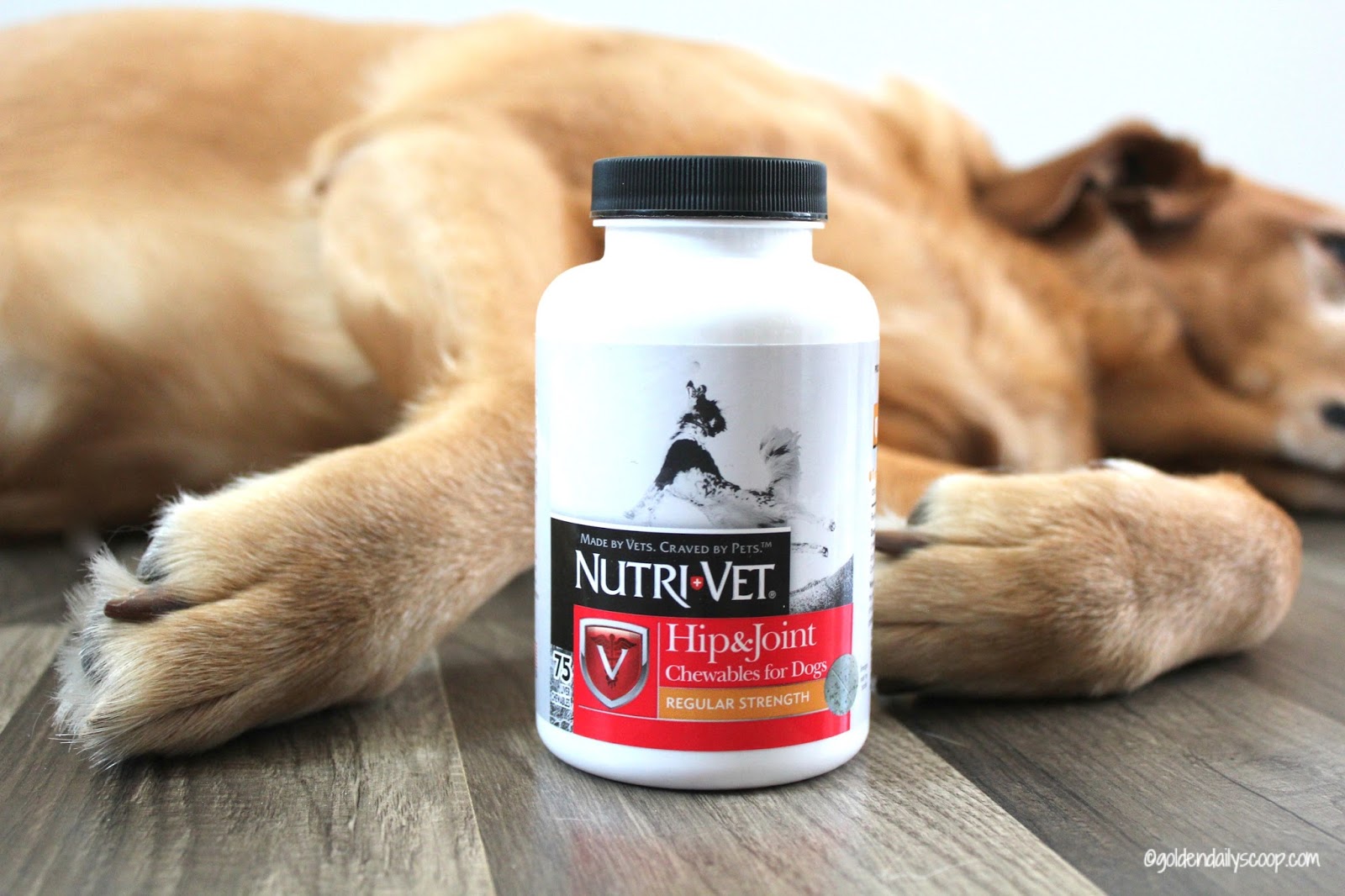 How NutriVet Helps My Dog With Hip Dysplasia & Arthritis