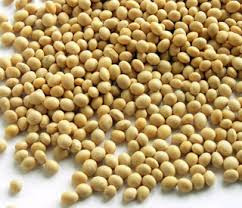Semilla de Soja Semilla de Soja lista para preparar leche paso a paso ver instrucciones y donde comprar