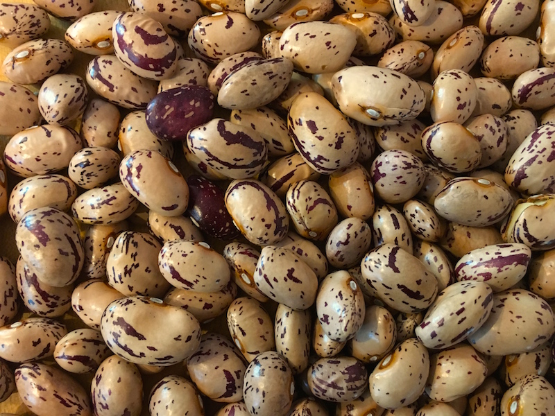 Good Stuff NW Big Holiday Barbecue Begs for Baked Beans