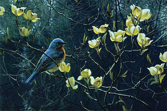  Роберт Бейтмэн / Robert Bateman Bluebird and Blossoms, 1991