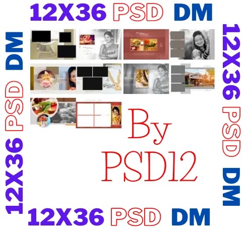 12x36 PSD DM