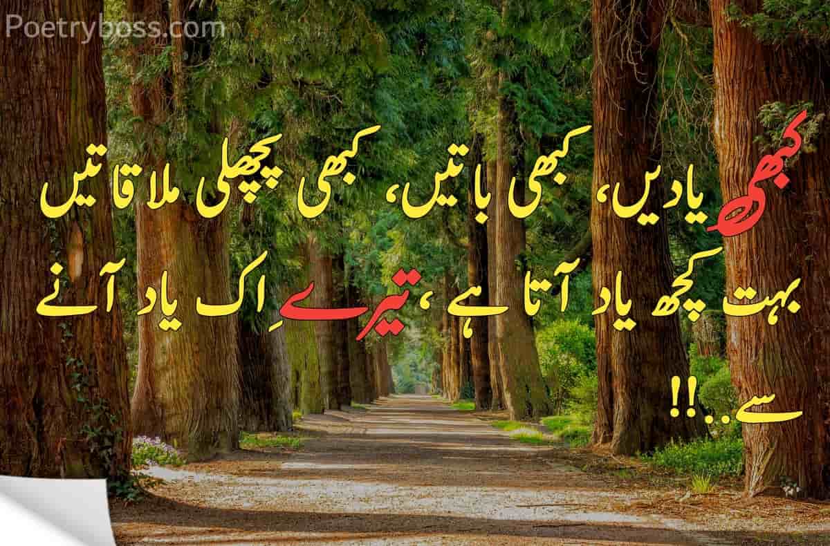 missing-poetry-in-urdu-2-lines