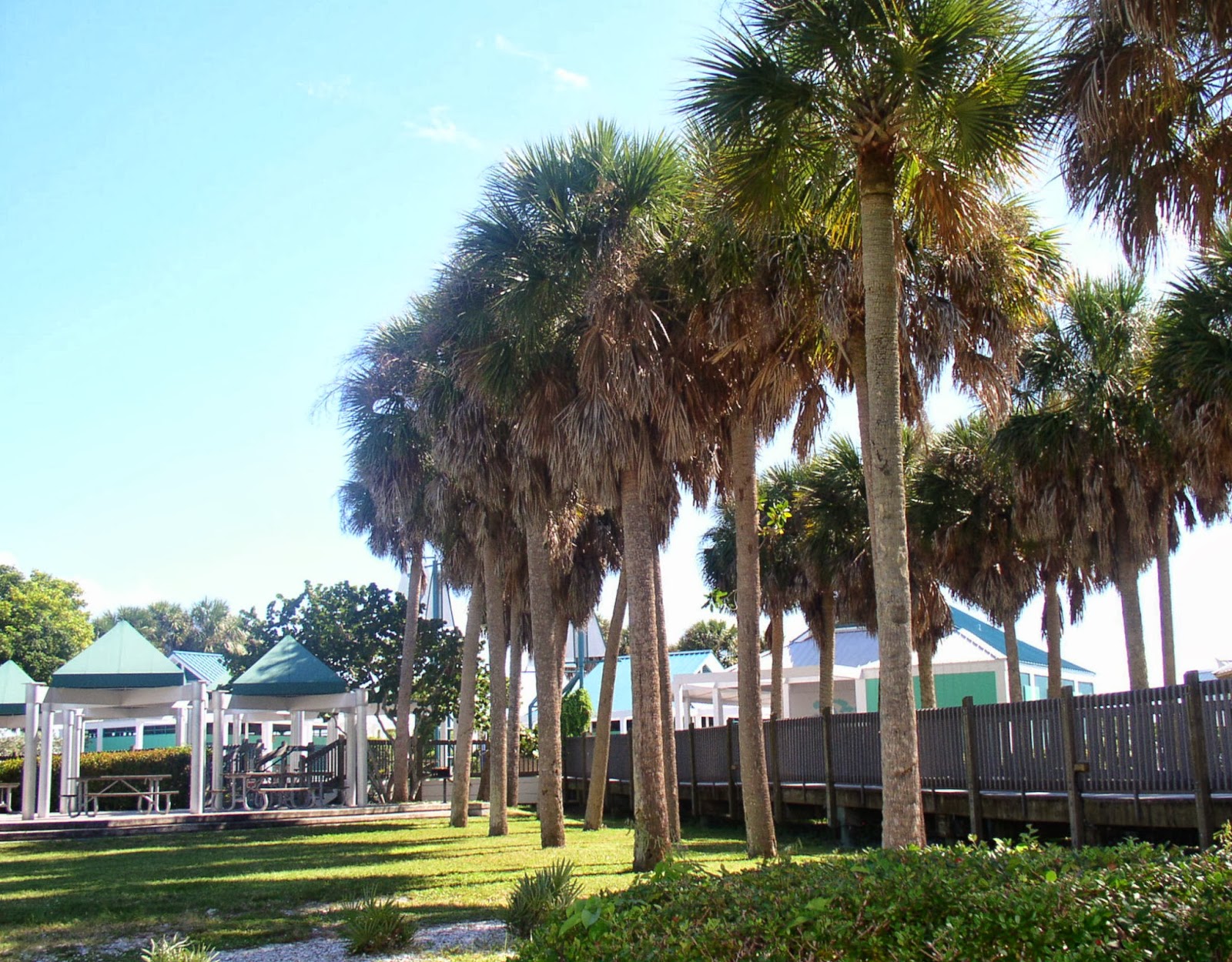 My Fort Myers Beach, My Florida II. Fort Myers Beach in Photos