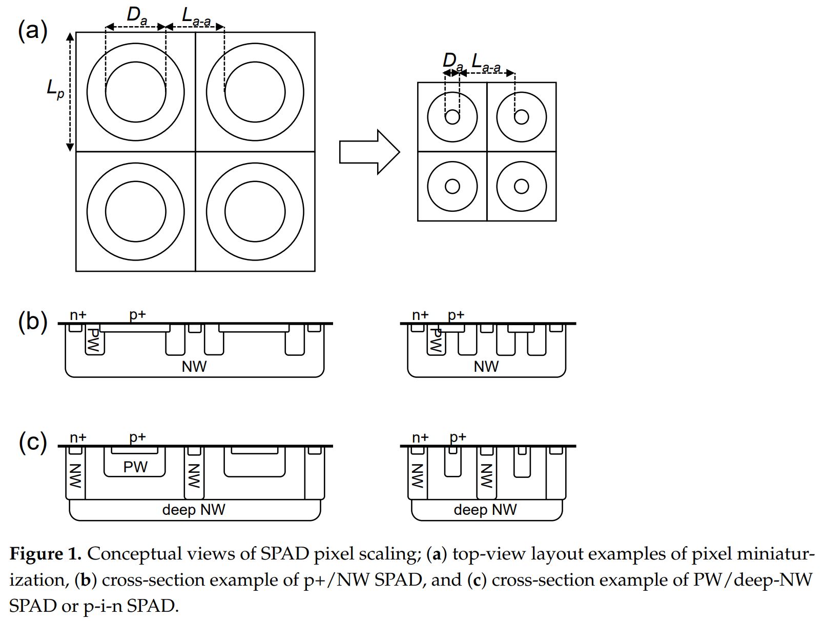 Image Sensors World: SPAD Size Scaling Trade-offs