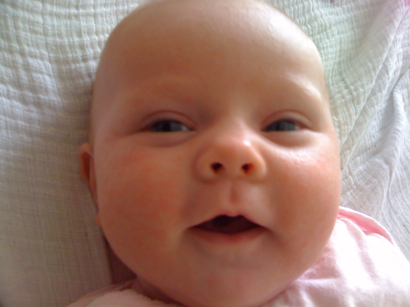 A Day in the Life of the Wood's Snapshot 360 Baby Faces