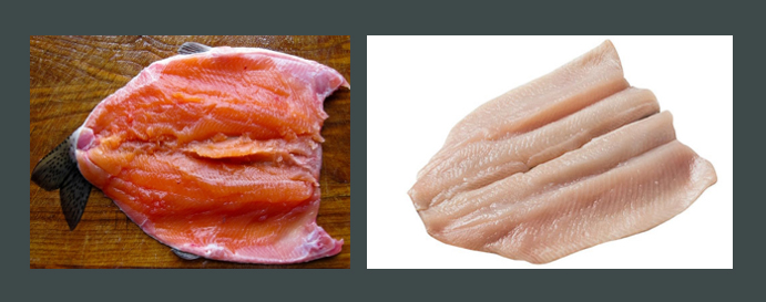 Basic Fish Cutting Methods
