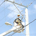 EDENORTE instala servicio de energía 24 horas en Islabón, Puerto Plata