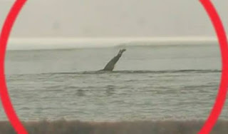 Το τέρας του Λόχνες στις Πρέσπες!  