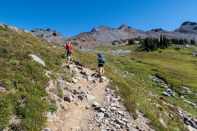 Eric's Hikes: Goat Rocks Wilderness: Goat Lake Loop and Old Snowy